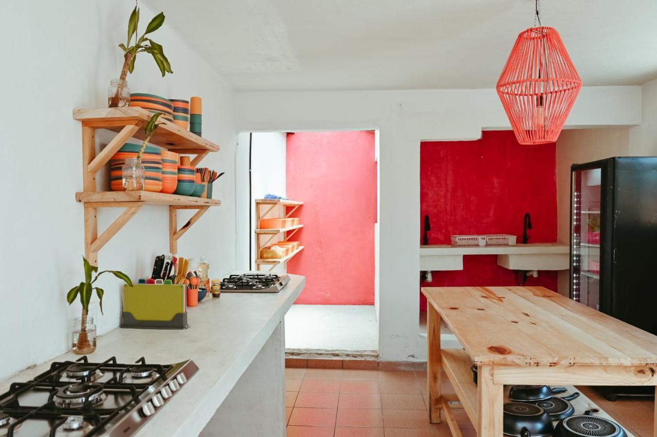 Maka Hostel Oaxaca Dış mekan fotoğraf